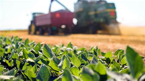 why are wholesale cuts important to agriculture